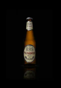 309.MENABREA 66 CL