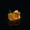 67.CRISPY SAKE /2PZ