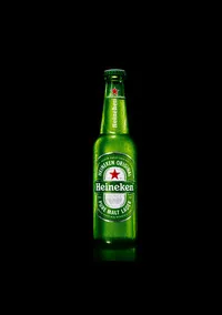 302.HEINEKEN 33 CL