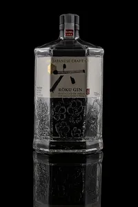 260.ROKU GIN