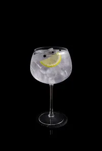 267.GIN TONIC